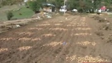 Rreth 12 mijë tonë patate të grumbulluara në zonën e Steblevës në Gollobordë rrezikojnë të kalben për shkak të mungesës së tregut. Fermerët e zonës thonë se largësia e kësaj […]