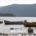 Новинарката Линда Карадаку и емисијата „Балкан“ од албанската телевизија АБЦ направија репортажа за Преспанското Езеро, пренесува Весник Македониум. Преспанското Езеро е едно од слатководните езера во Европа кое граничи со […]