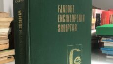 Fjalori enciklopedik shqiptar i vitit 1985 shkruan për banorët me kombësi maqedonase në Pustec, për shkollën në gjuhën maqedonase, për bashkëpunimin me çetat maqedonase dhe për pjesëmarrjen e banorëve në […]