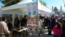 Во Корча, во рамките на 25-годишнината од албанско – германската економска и културна соработка меѓу двете земји, се одржа еден настан каде се претставија проектите во регионот на Корча – […]