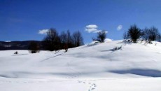 Вака изгледа Голо Брдо под снежна покривка, од 25 ноември кога падна првиот снег, општините Стеблево, Требиште и Острени во областа Голо Брдо го добија вообичаениот изглед во зима. (Македониум) […]
